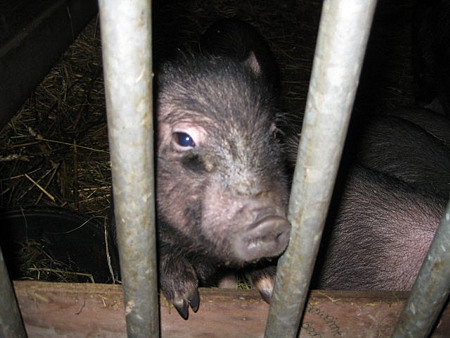 Foto aus der Fotogruppe 