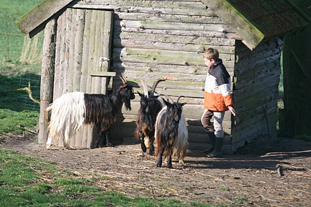 Foto aus der Fotogruppe 
